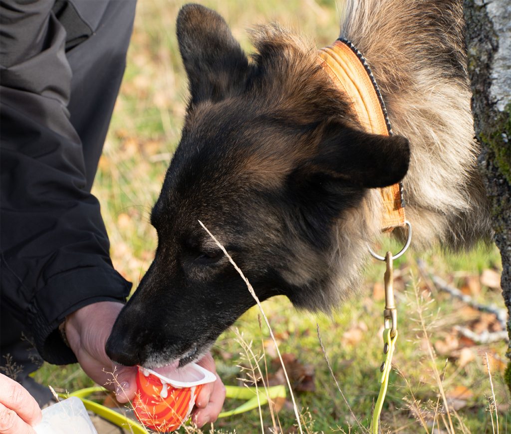 der Jackpot nach getaner Arbeit