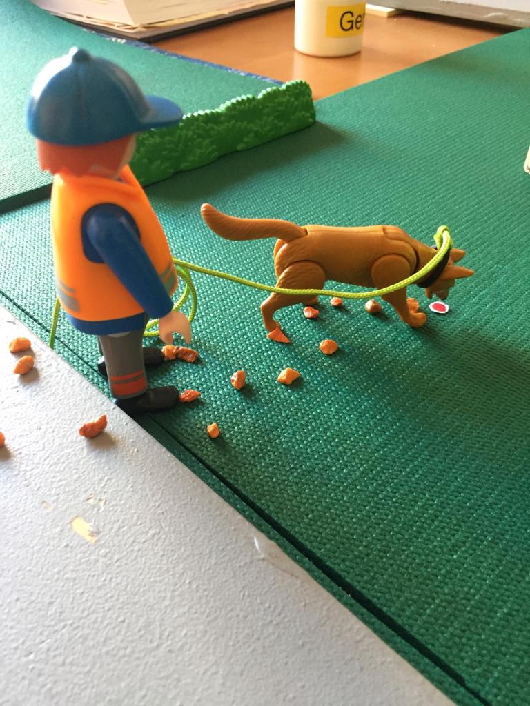 Der Hund hat den Geruchsartikel entdeckt