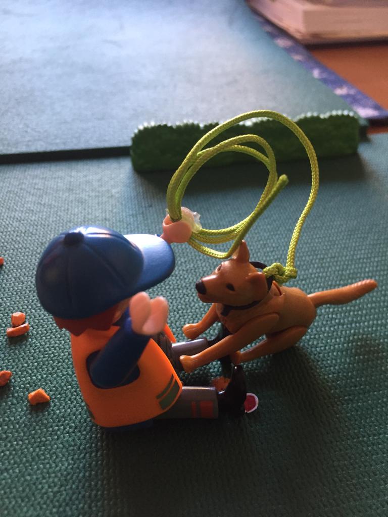 Der Hund wird belohnt